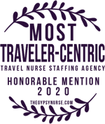 Most TravelerCentric Honorable Mentions